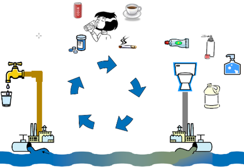 Workforce Development - Day of Water Training Event